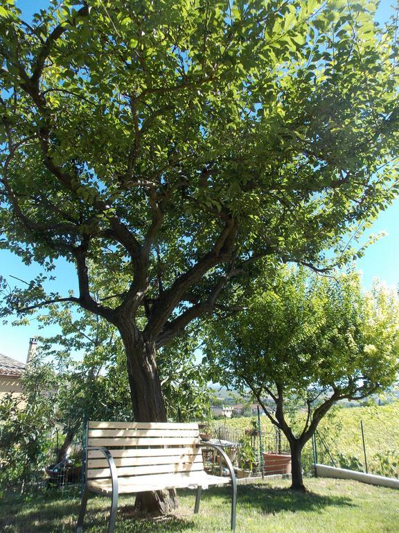 Il Borghetto Appartement San Lorenzo in Campo Buitenkant foto